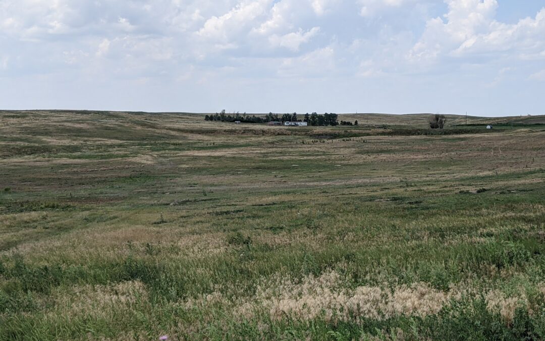 255.71 Acres of grassland with 3 bedroom home!