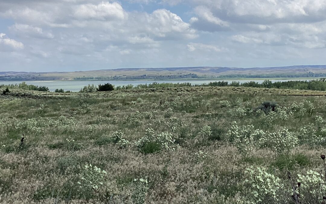 2.4 Acres Deeded Land at Lake McConaughy, Zoned Tourist Services