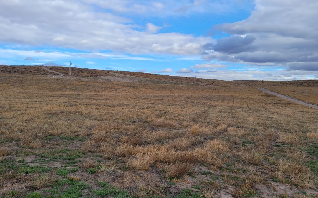 Lot With Views at Lake Mac!