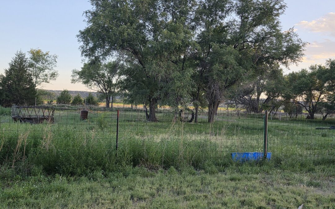 “Peaceful” Lot With Trees and Views