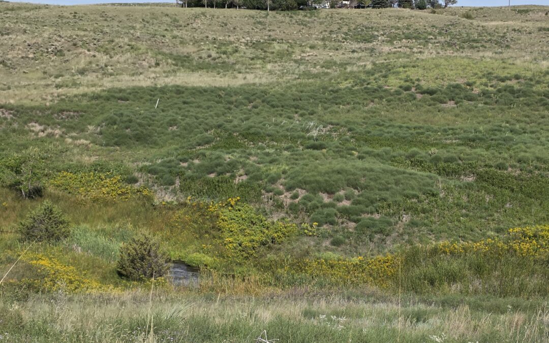20 Acres of Peaceful Country Living & Recreation